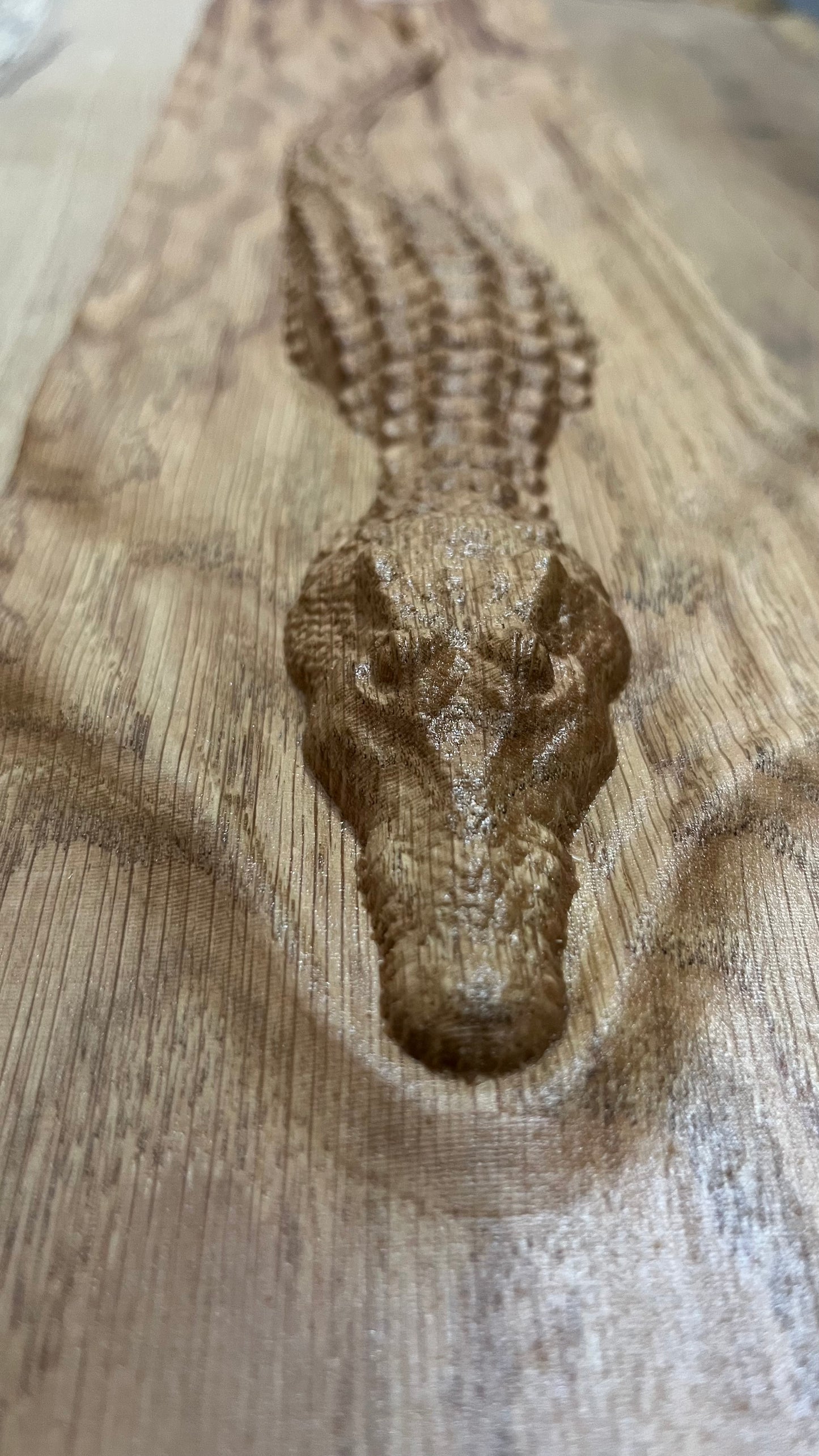 Krokodil Holz Wandbild