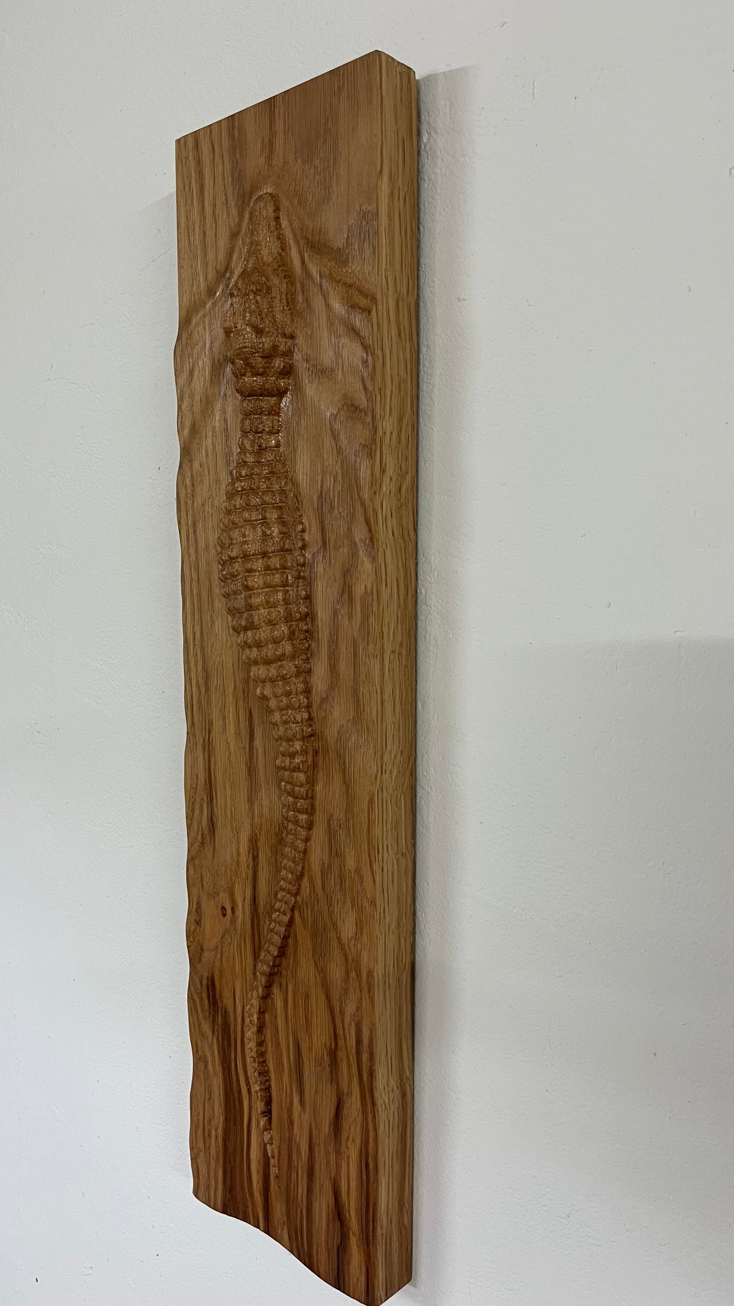 Krokodil Holz Wandbild